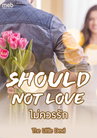 Should not love - ไม่ควรรัก