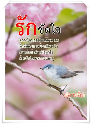 รักขัดใจ-ตอนพิเศษ