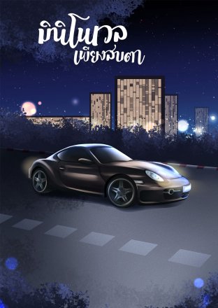 Mini Novel เพียงสบตา