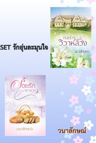 SET รักอุ่นละมุ่นใจ (  กลรักวิวาห์ลวง + ร้อยรักมายาลวง )