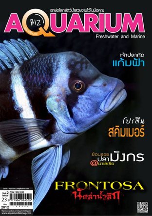 Aquarium Biz - Issue 23