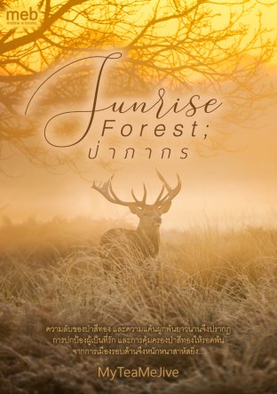 Sunrise Forest; ป่าภากร