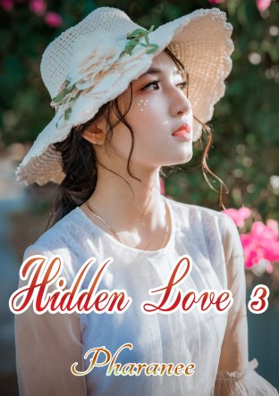 hidden love 3