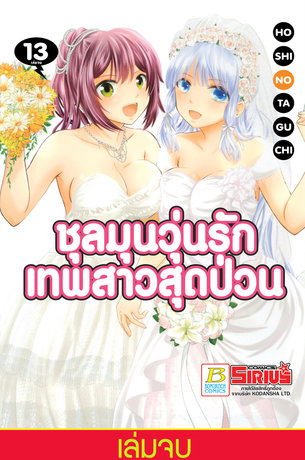 ชุลมุนวุ่นรักเทพสาวสุดป่วน 13 (ฉบับจบ)