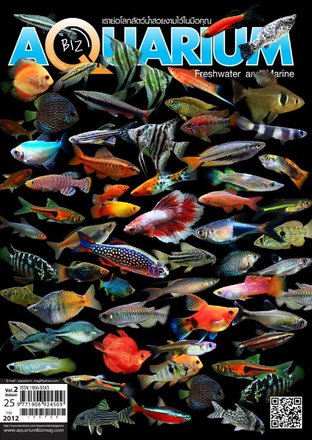 Aquarium Biz - Issue 25