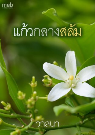 แก้วกลางสลัม