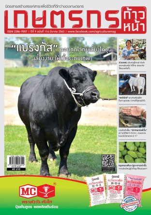 เกษตรกรก้าวหน้า ฉบับที่ 114