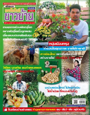 เทคโนโลยีชาวบ้าน ฉบับที่ 717