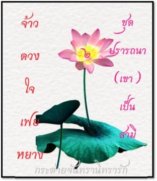 จ้าวดวงใจเฟยหยาง (2) ชุดปรารถนา(เขา)เป็นสามี