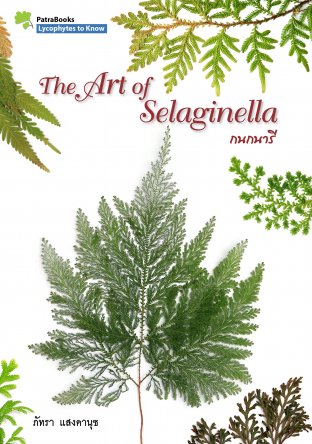 The Art of Selaginella กนกนารี