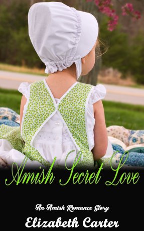 Amish Secret Love