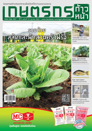 เกษตรกรก้าวหน้า ฉบับที่ 121