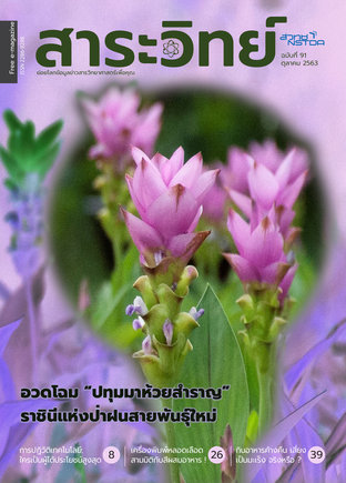 สาระวิทย์ ฉบับที่ 91