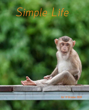 Simple Life ฉบับที่ 19