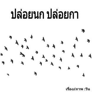 ปล่อยนก ปล่อยกา