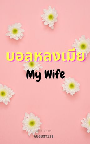 My Wife บอลหลงเมีย