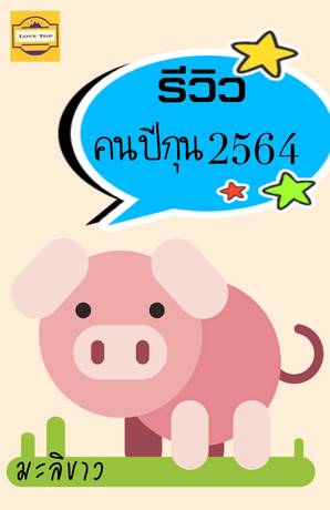 รีวิวคนปีกุน 2564