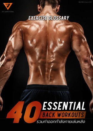 Essential Workout 40 ท่าเล่นหลัง