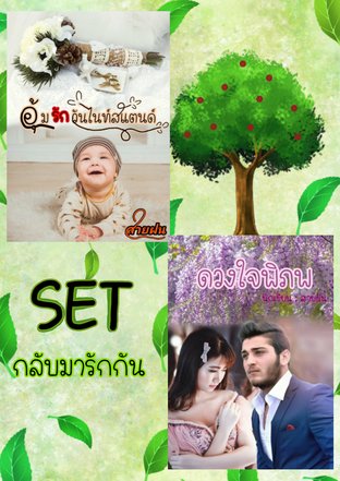 SET กลับมารักกัน ( อุ้มรักวันไนท์สแตนด์ + ดวงใจพิภพ )