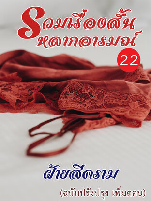 รวมเรื่องสั้นหลากอารมณ์ 22