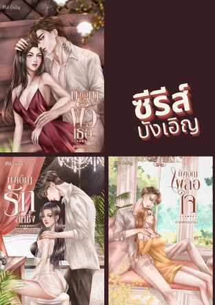 Set บังเอิญเป็นผัวเธอ + บังเอิญ..รักลึกซึ้ง + บังเอิญ..เผลอใจ