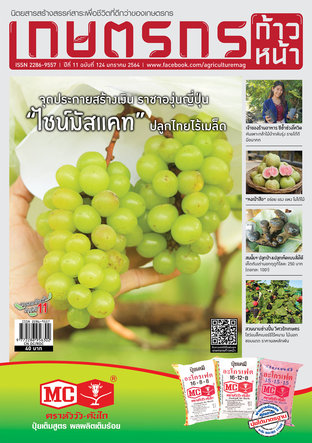 เกษตรกรก้าวหน้า ฉบับที่ 124