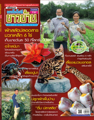 เทคโนโลยีชาวบ้าน ฉบับที่ 737