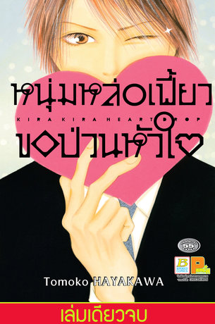 หนุ่มหล่อเฟี้ยวขอป่วนหัวใจ (เล่มเดียวจบ)