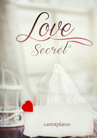 LOVE SECRETS