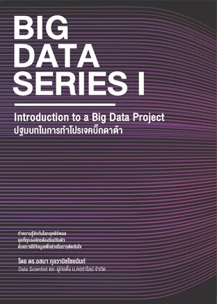 Big Data Series I: Introduction to a Big Data Project