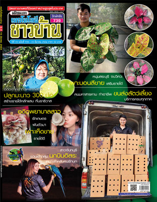 เทคโนโลยีชาวบ้าน ฉบับที่ 739