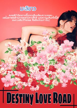 Destiny Love Road (ลิขิตรักสุดดวงใจ)