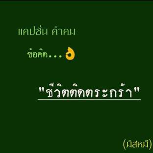 ชีวิตติดตระกร้า