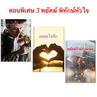 ตอนพิเศษ 3 พยัคฆ์ พิทักษ์หัวใจ