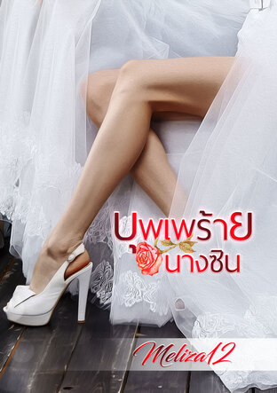 บุพเพร้ายนางซิน