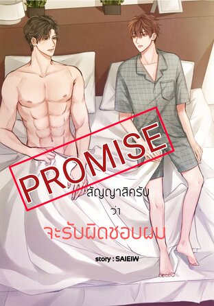 PROMISE สัญญาสิครับ ว่าจะรับผิดชอบผม