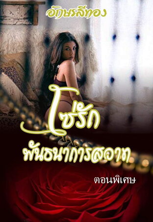 โซ่รักพันธนาการสวาท ตอนพิเศษ