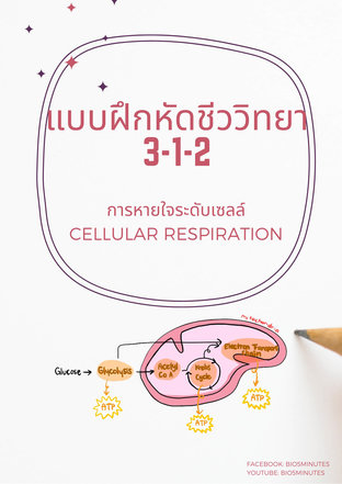 แบบฝึกหัดชีววิทยา 3-1-2: การหายใจระดับเซลล์