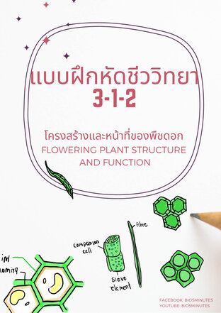 แบบฝึกหัดชีววิทยา 3-1-2: โครงสร้างและหน้าที่ของพืชดอก