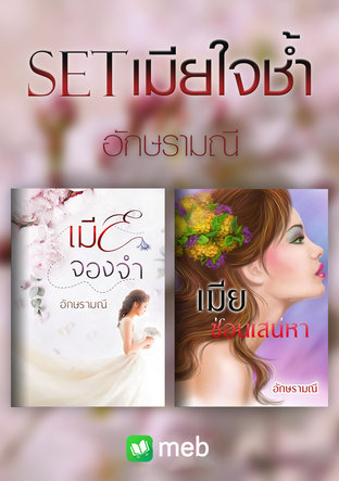 SET เมียใจช้ำ (เมียจองจำ + เมียซ่อนเสน่หา)