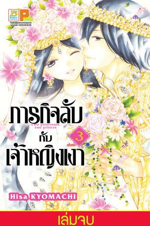 ภารกิจลับกับเจ้าหญิงเงา 3 (เล่มจบ)