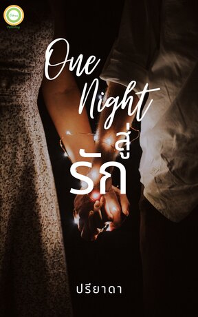 One Night สู่รัก