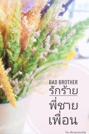 BAD BROTHER  รักร้ายพี่ชายเพื่อน