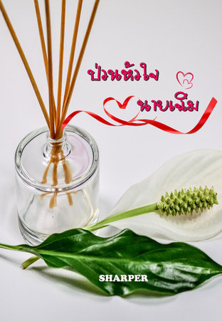 ป่วนหัวใจนายเฉิ่ม