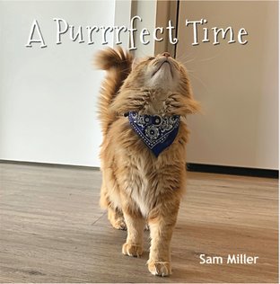 A purrrfect time