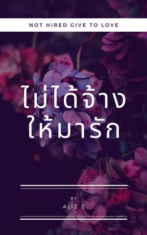 ไม่ได้จ้างให้มารัก (NOT HIRED GIVE TO LOVE)