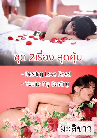 SET 2เรื่องสุดคุ้ม ( Destiny Love Road + You're My Destiny )