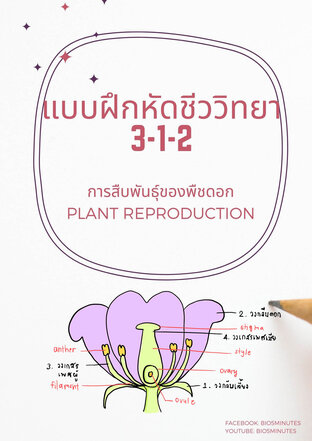 แบบฝึกหัดชีววิทยา 3-1-2: การสืบพันธุ์ของพืชดอก