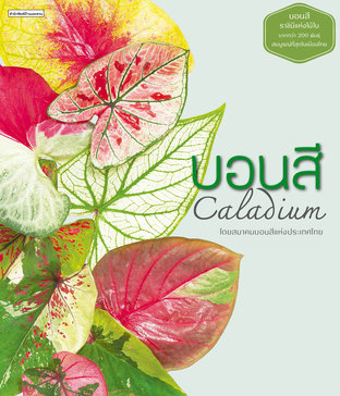 บอนสี: Caladium