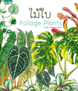 ไม้ใบ Foliage Plants